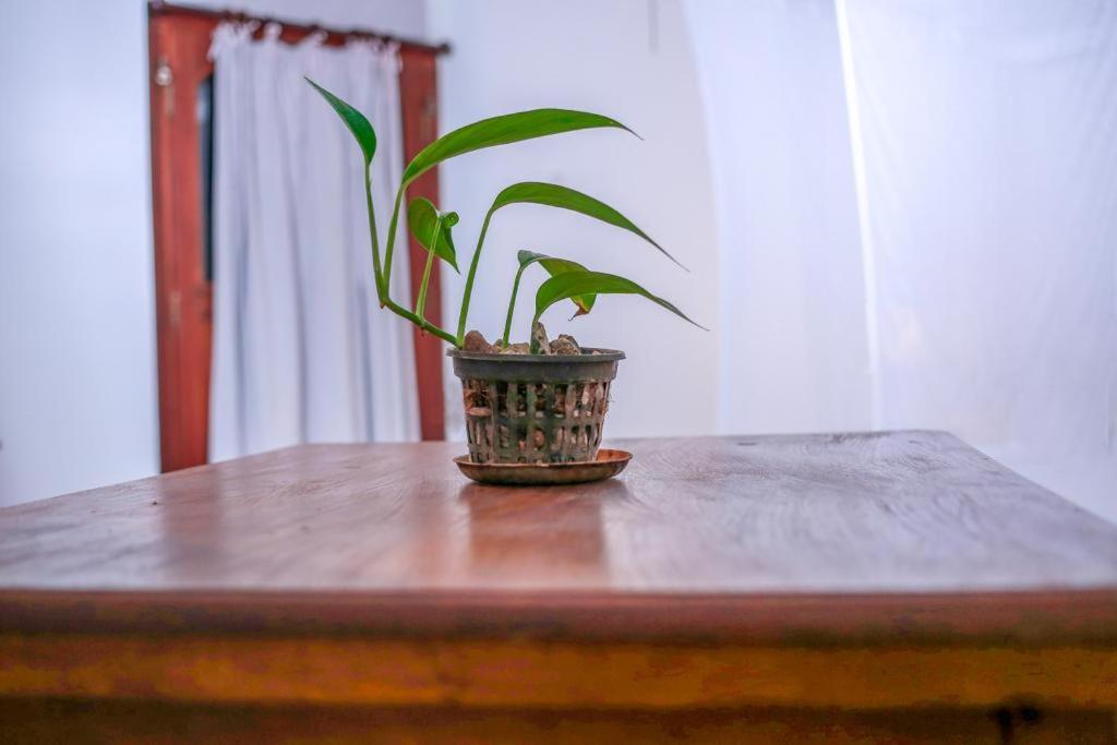 Knight Inn - Galle Fort エクステリア 写真